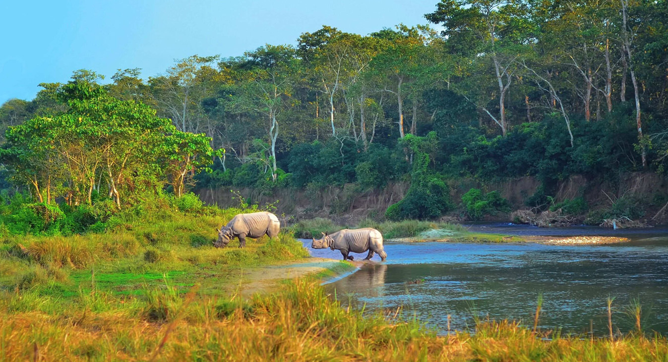Chitwan